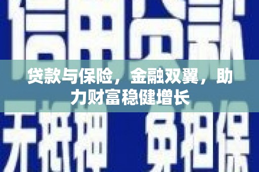 将军贷款与保险，金融双翼，助力财富稳健增长