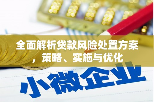 将军全面解析贷款风险处置方案，策略、实施与优化