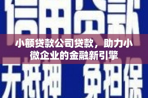 将军小额贷款公司贷款，助力小微企业的金融新引擎