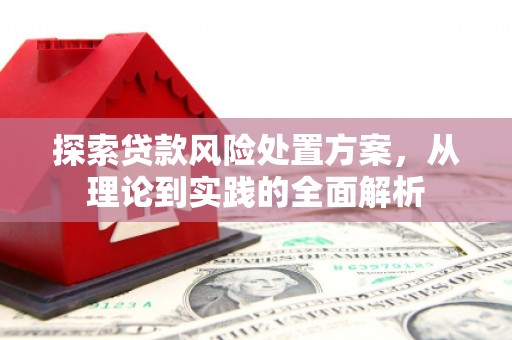 将军探索贷款风险处置方案，从理论到实践的全面解析
