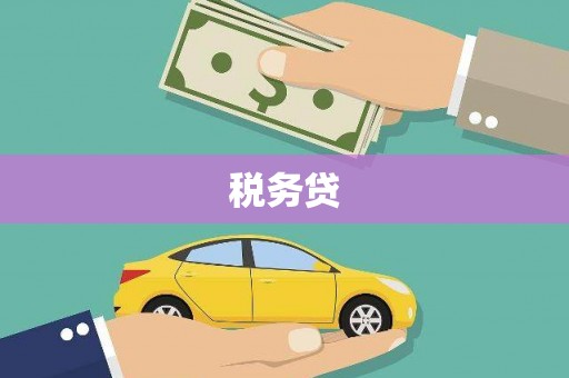 将军税务贷
