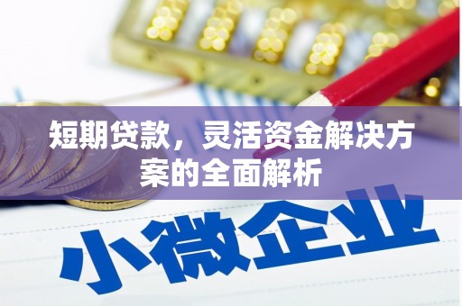 将军短期贷款，灵活资金解决方案的全面解析