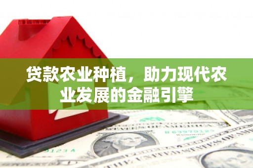 将军贷款农业种植，助力现代农业发展的金融引擎