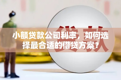 将军小额贷款公司利率，如何选择最合适的借贷方案？