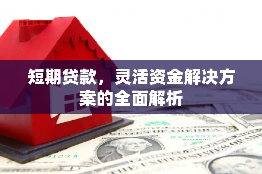 将军短期贷款，灵活资金解决方案的全面解析