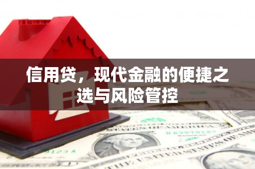 将军信用贷，现代金融的便捷之选与风险管控