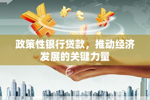 将军政策性银行贷款，推动经济发展的关键力量