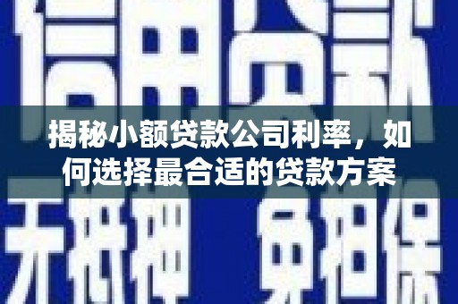 将军揭秘小额贷款公司利率，如何选择最合适的贷款方案