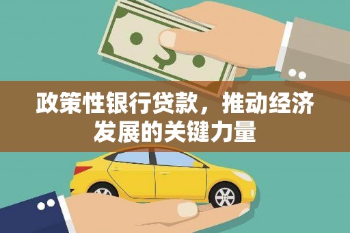 将军政策性银行贷款，推动经济发展的关键力量