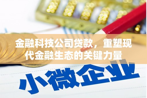 将军金融科技公司贷款，重塑现代金融生态的关键力量
