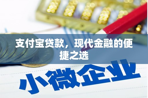 将军支付宝贷款，现代金融的便捷之选