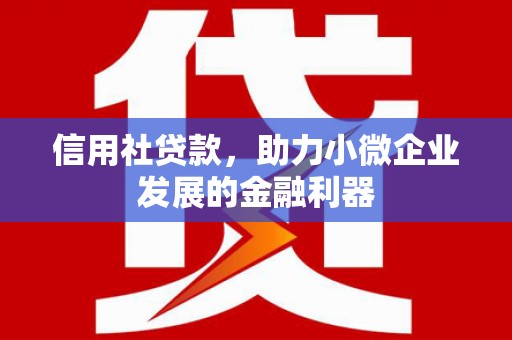 将军信用社贷款，助力小微企业发展的金融利器