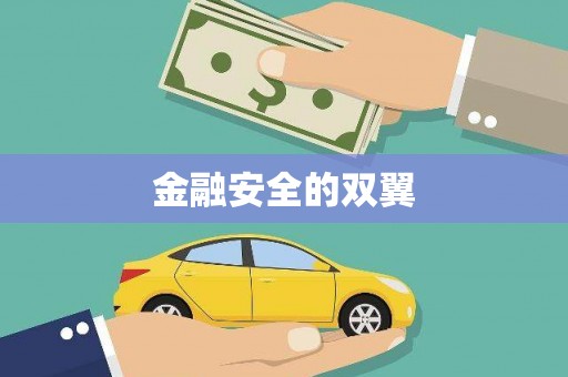 将军金融安全的双翼