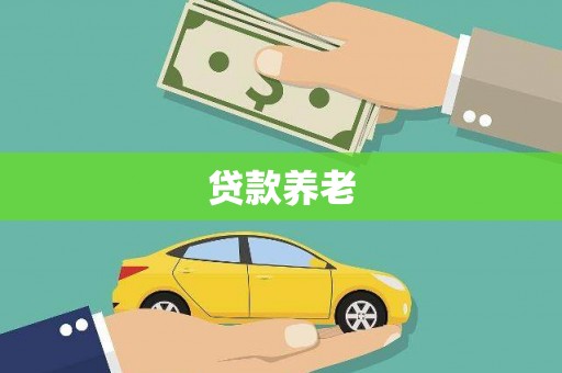 将军贷款养老