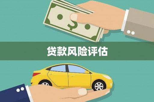 将军贷款风险评估