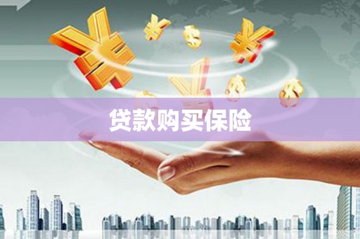 将军贷款购买保险