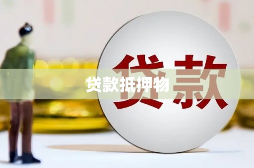 将军贷款抵押物