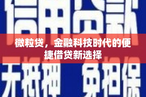 将军微粒贷，金融科技时代的便捷借贷新选择