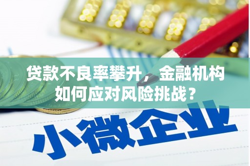 将军贷款不良率攀升，金融机构如何应对风险挑战？