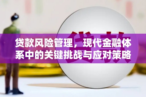 将军贷款风险管理，现代金融体系中的关键挑战与应对策略