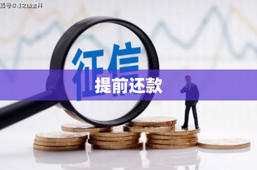 将军提前还款