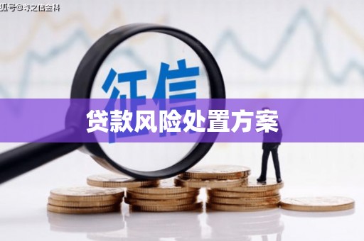 将军贷款风险处置方案