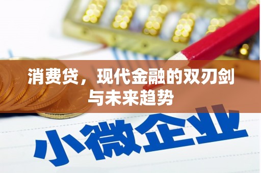 将军消费贷，现代金融的双刃剑与未来趋势