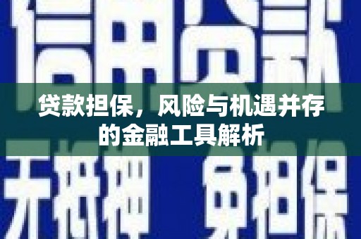 将军贷款担保，风险与机遇并存的金融工具解析