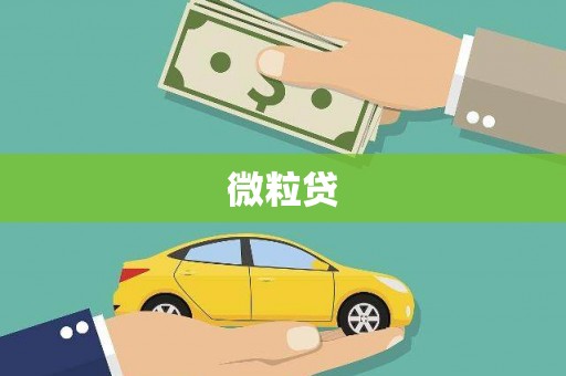 将军微粒贷