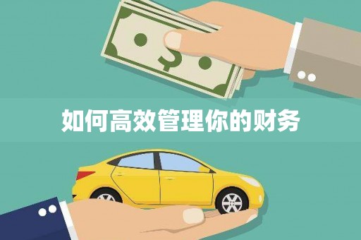 将军如何高效管理你的财务