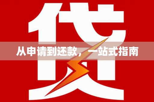 将军从申请到还款，一站式指南