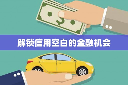 将军解锁信用空白的金融机会