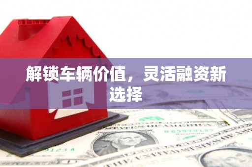 将军解锁车辆价值，灵活融资新选择
