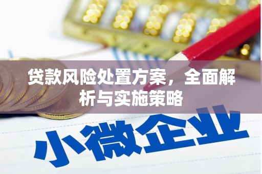将军贷款风险处置方案，全面解析与实施策略