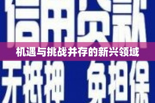 将军机遇与挑战并存的新兴领域