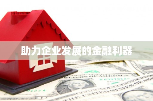将军助力企业发展的金融利器
