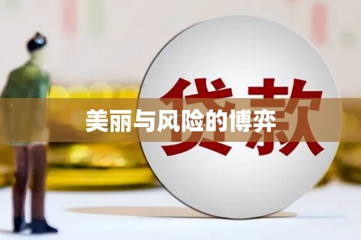 将军美丽与风险的博弈
