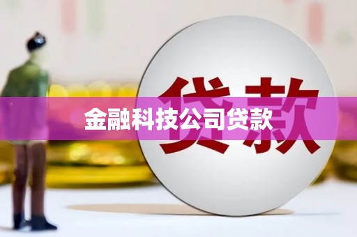 将军金融科技公司贷款