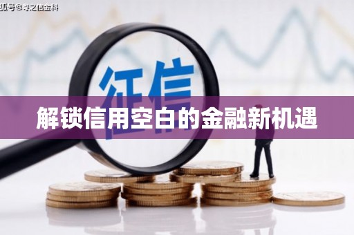 将军解锁信用空白的金融新机遇