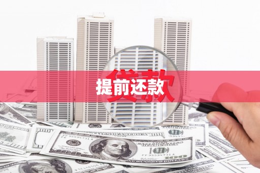 将军提前还款