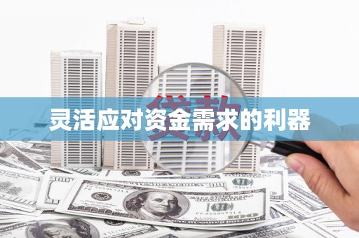 将军灵活应对资金需求的利器