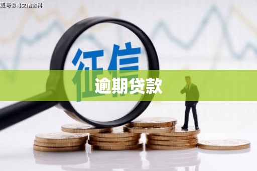将军逾期贷款