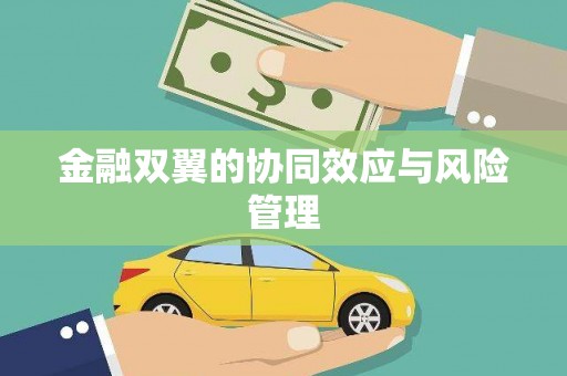 将军金融双翼的协同效应与风险管理