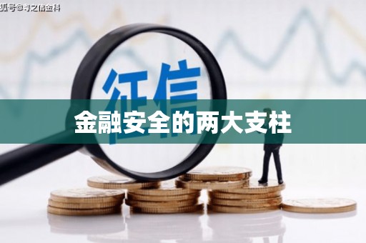 将军金融安全的两大支柱
