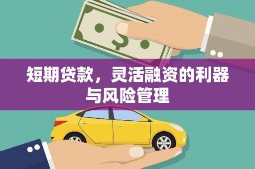 将军短期贷款，灵活融资的利器与风险管理