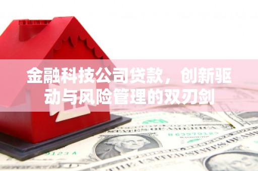 将军金融科技公司贷款，创新驱动与风险管理的双刃剑